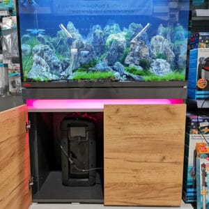 Simplifiez l'entretien de votre aquarium grâce au filtre Eheim 5ème génération