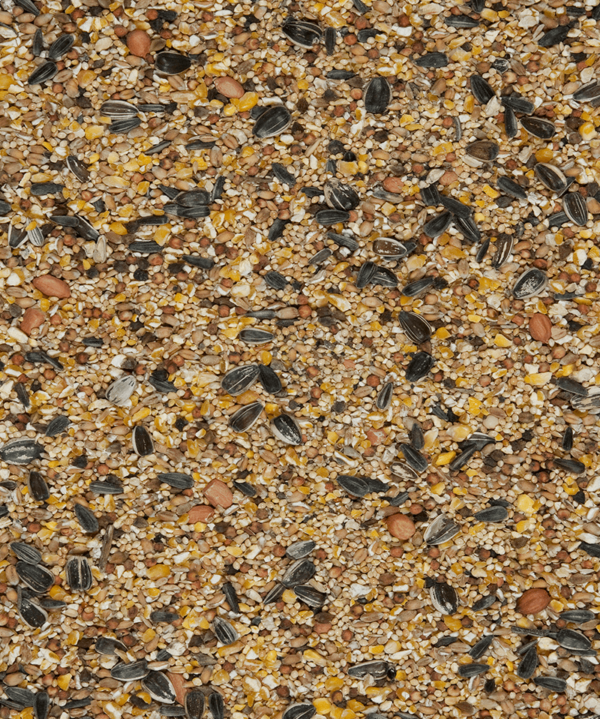 Aidez les oiseaux du ciel avec l'alimentation 4 saisons "Menu nature" Versele laga – Image 3