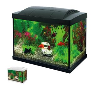 Envie de se lancer dans l’aquariophilie ? C'est simple !