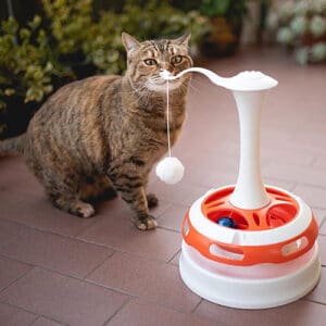 Votre chat ou chaton ne pourra plus se passer du jouet Ferplast Tornado Giostra !