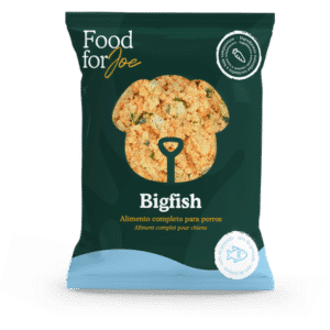 Bigfish???? - Food for Joe
