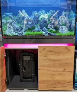 Simplifiez l'entretien de votre aquarium grâce au filtre Eheim 5ème génération