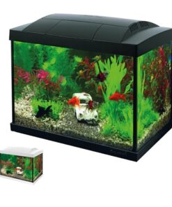 Envie de se lancer dans l’aquariophilie ? C'est simple !