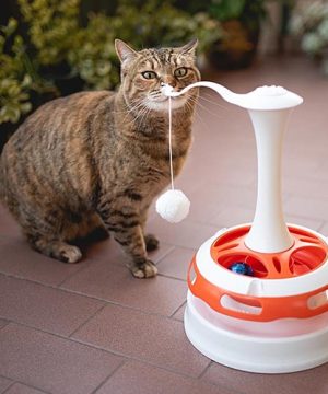 Votre chat ou chaton ne pourra plus se passer du jouet Ferplast Tornado Giostra !